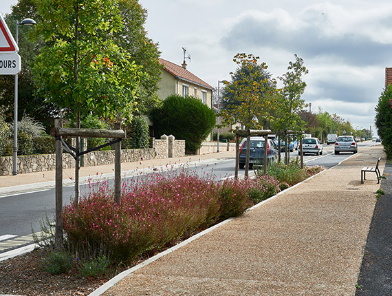 cholet-tp-expertises-amenagement-urbain-1